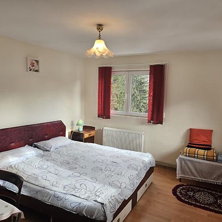 Apartament Retro-Relax Sinaia Kültér fotó
