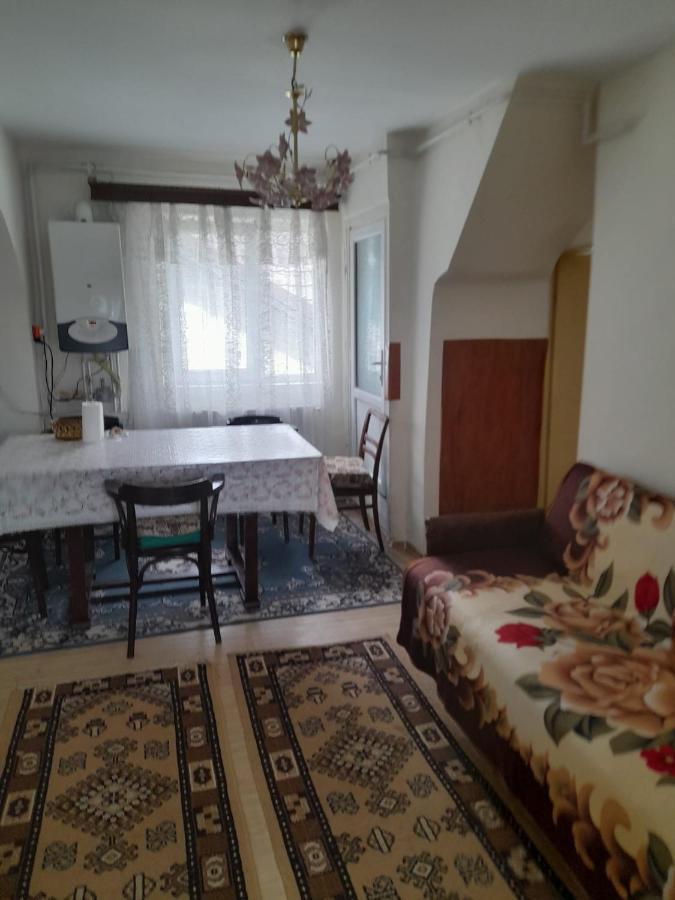 Apartament Retro-Relax Sinaia Kültér fotó