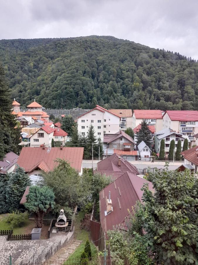 Apartament Retro-Relax Sinaia Kültér fotó